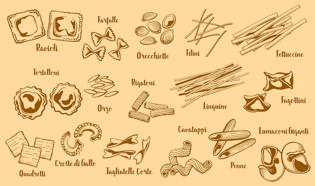 Vector tipos de pasta nombres de comida italiana para el menú del restaurante