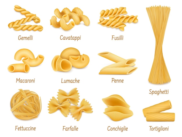 Vector tipos de pasta realistas espaguetis farfalle y macarrones penne plato de cocina italiana conjunto de ilustración de vector de pasta orgánica seca tipos de pasta para menú de restaurante surtido de productos de trigo