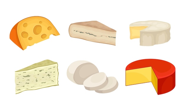 Tipos de queso con conjunto vectorial de placas de queso azul y queso suizo