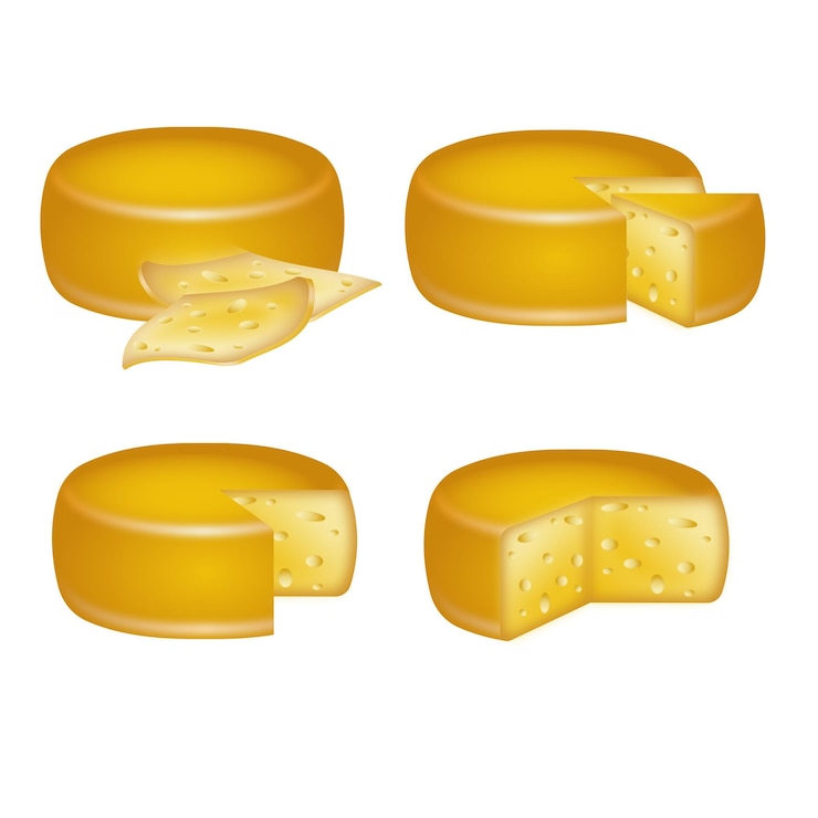 Vector tipos de queso iconos de ilustración vectorial realista de varios tipos de queso