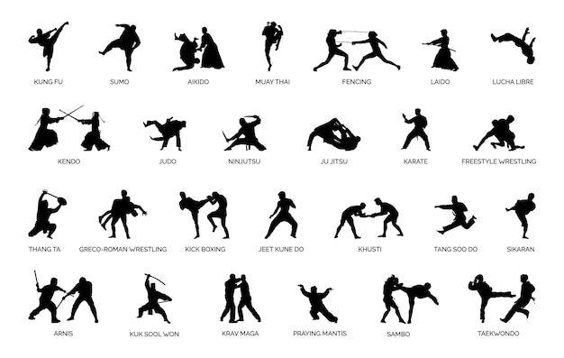 Vector tipos de siluetas de artes marciales