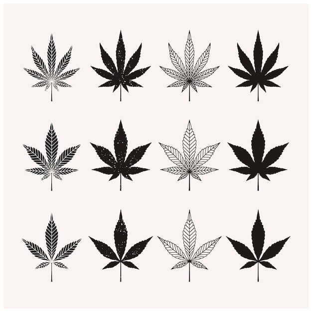 Tipos de siluetas de hojas de cáñamo de marihuana de cannabis para extractos de cbd o diseño de logotipo de cultivo