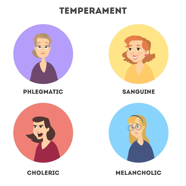 Tipos de temperamentos. sanguino y colérico, flemático y melancólico.