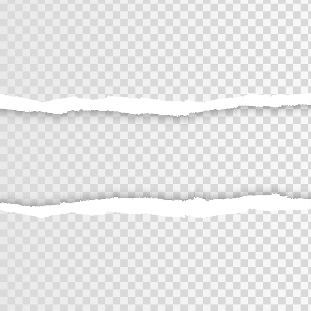 Tiras de papel cuadriculado rasgadas