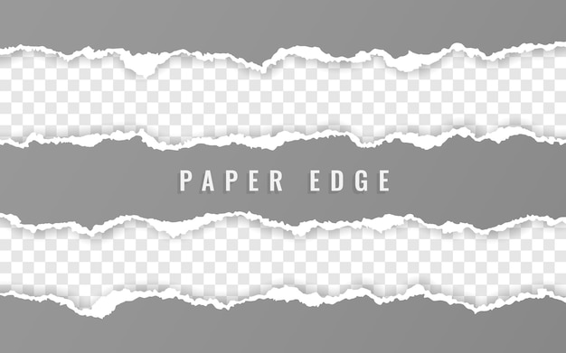Tiras de papel cuadriculado rasgadas