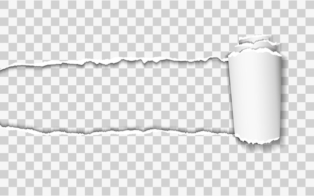 tiras de papel rasgadas y retorcidas