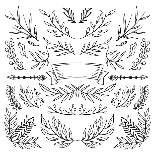 Título Ornamento de remolino vintage estilo de línea florece conjunto rizos ornamentales caligráficos filigráficos De