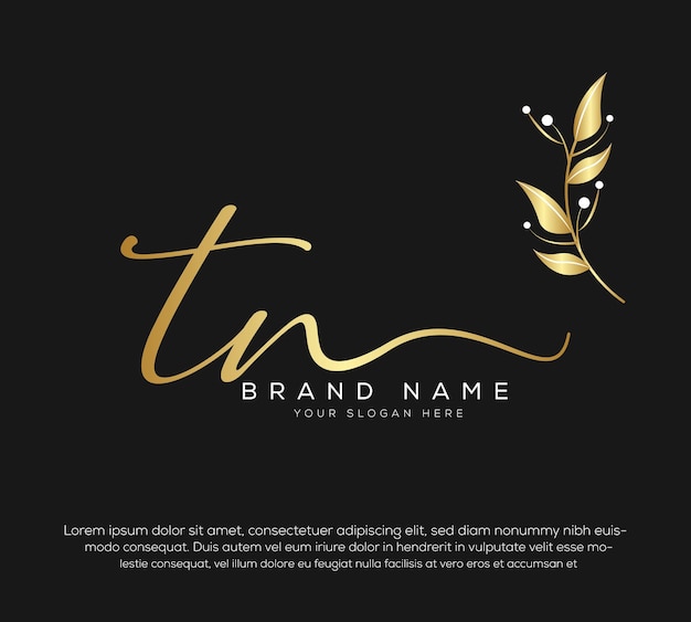 tn letra inicial escrita a mano y vector del logotipo de la firma