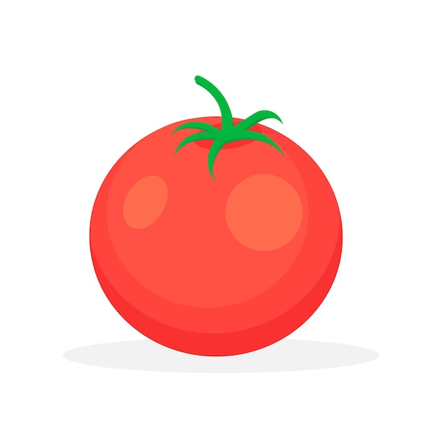 Tomate aislado sobre fondo blanco Ilustración vectorial