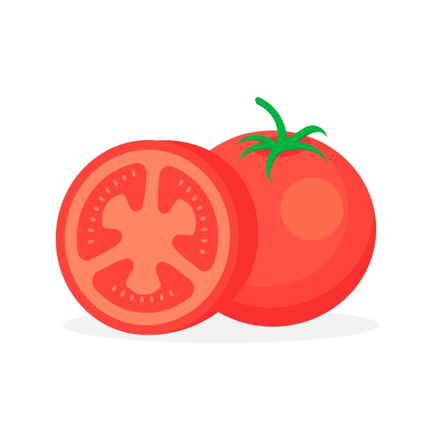 Tomate aislado sobre fondo blanco Ilustración vectorial