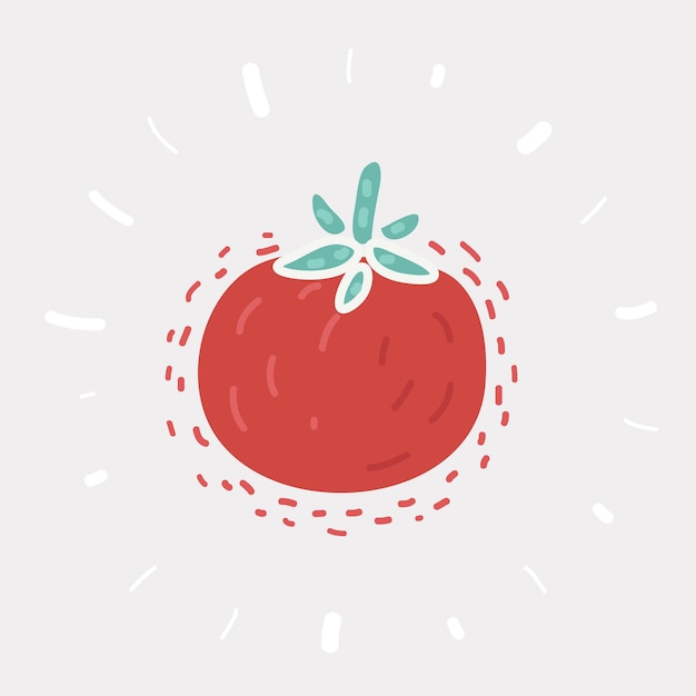 Tomate aislado sobre fondo blanco