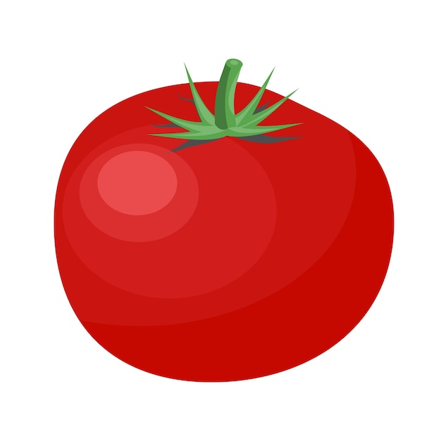 Tomate aislado sobre fondo blanco