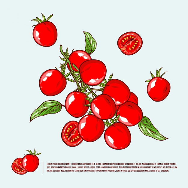 Tomate cherry ilustración premium