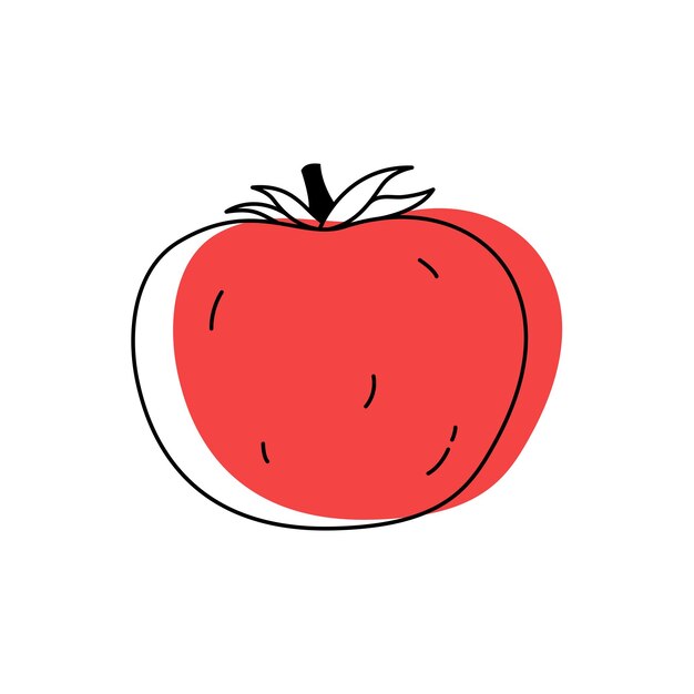 Tomate de contorno de garabato con ilustración de vector de punto para embalaje