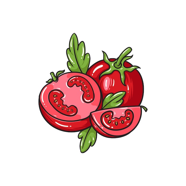 Tomate dibujado a mano ilustración frutas verduras