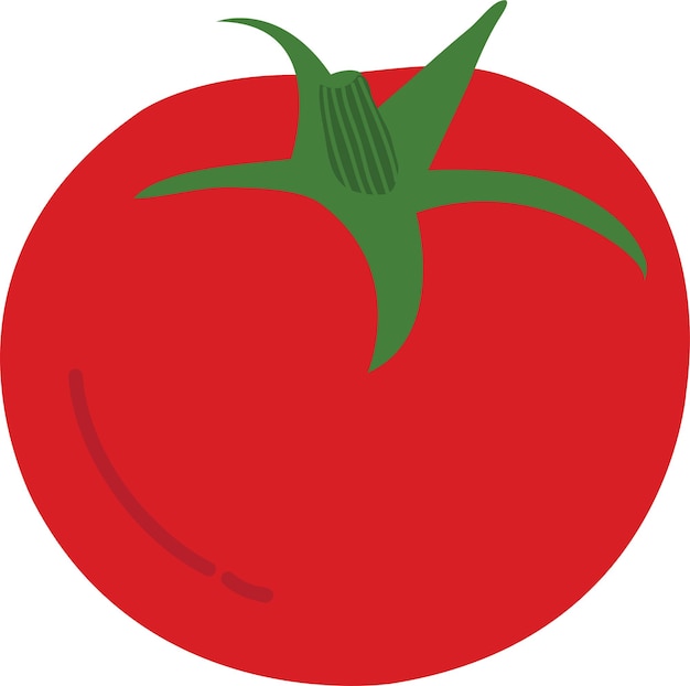Tomate de dibujo de estilo dibujado a mano