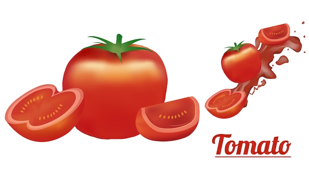 Tomate en un fondo blanco