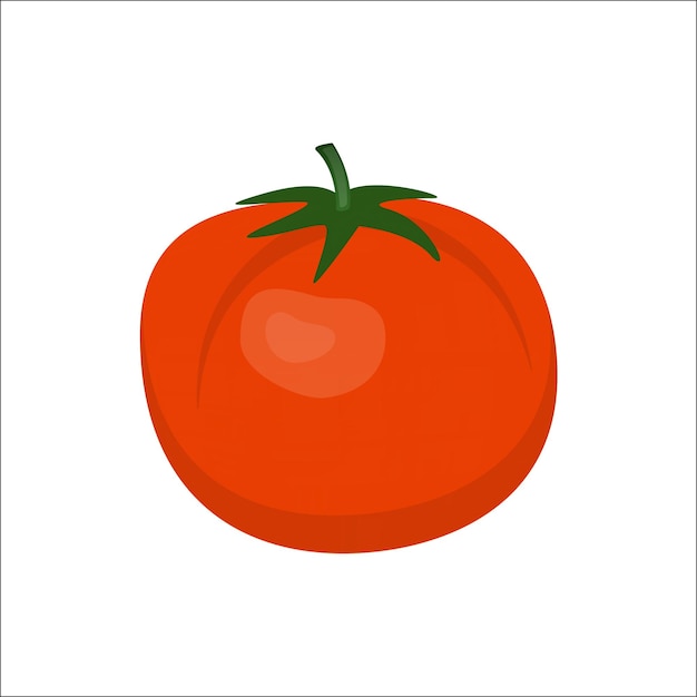 Tomate fresco jugoso rojo aislado en la ilustración de vector de fondo blanco en estilo plano