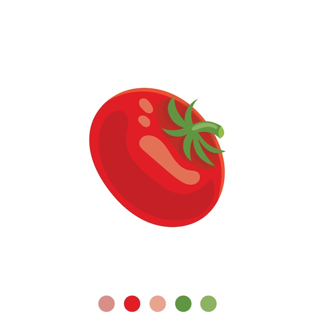 tomate fresco vectorial