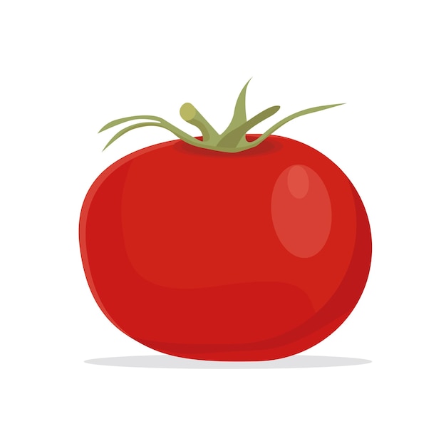 Tomate con hojas verdes estilo vector plano