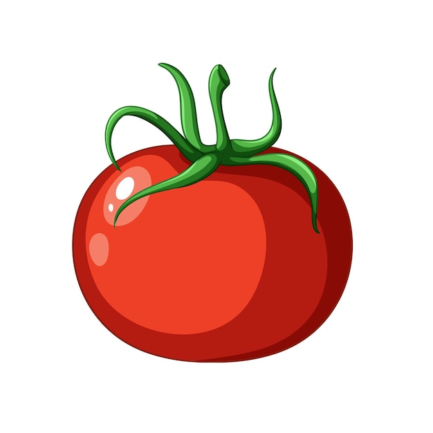 Tomate con hojas verdes de estilo vectorial plano sobre fondo blanco