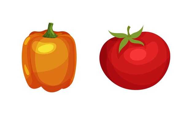 Tomate maduro y pimienta como alimento crudo saludable y conjunto de vectores de cultivo de jardín