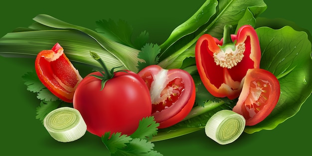 Vector tomate, pimiento, cebolla y lechuga.