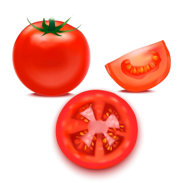 Tomate rojo detallado realista y partes de segmentos vegetales frescos y saludables para restaurante, tienda o tienda. ilustración vectorial