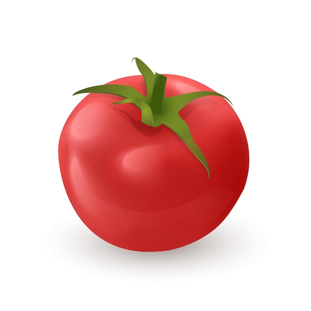 Tomate rojo fresco 3d aislado sobre fondo blanco ilustración vectorial en estilo realista icono de tomate