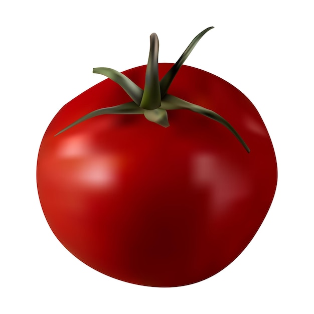 Un tomate rojo fresco aislado sobre fondo blanco.