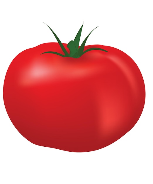 tomate rojo fresco
