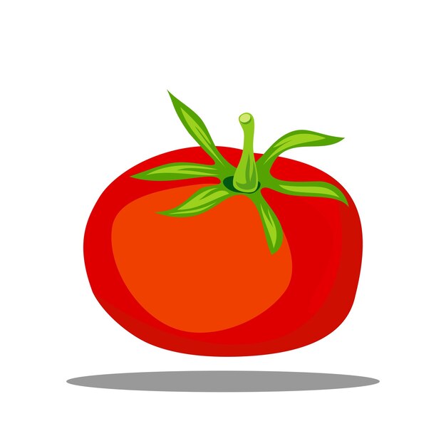 tomate rojo fresco