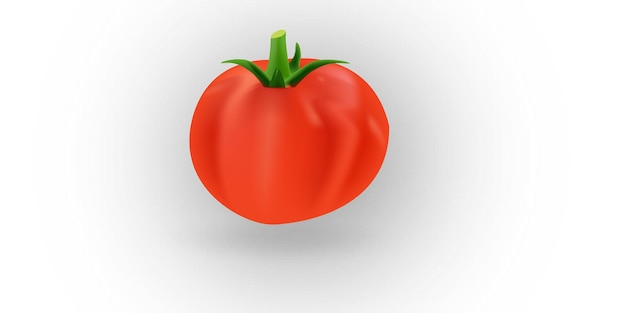 Tomate rojo con hojas verdes vector realista