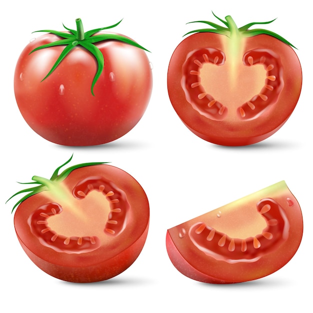 Tomate rojo y medio tomate y rebanada con hojas verdes vector realista