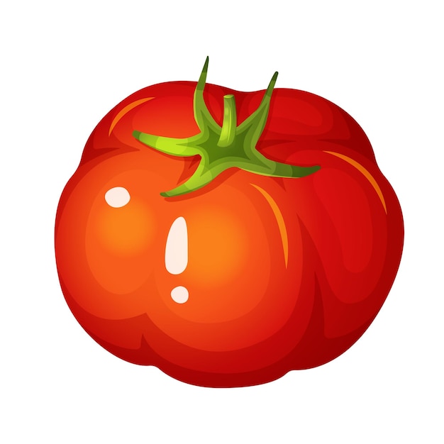Tomate rojo Vector ilustración realista aislado sobre un fondo blanco Alimentos orgánicos saludables
