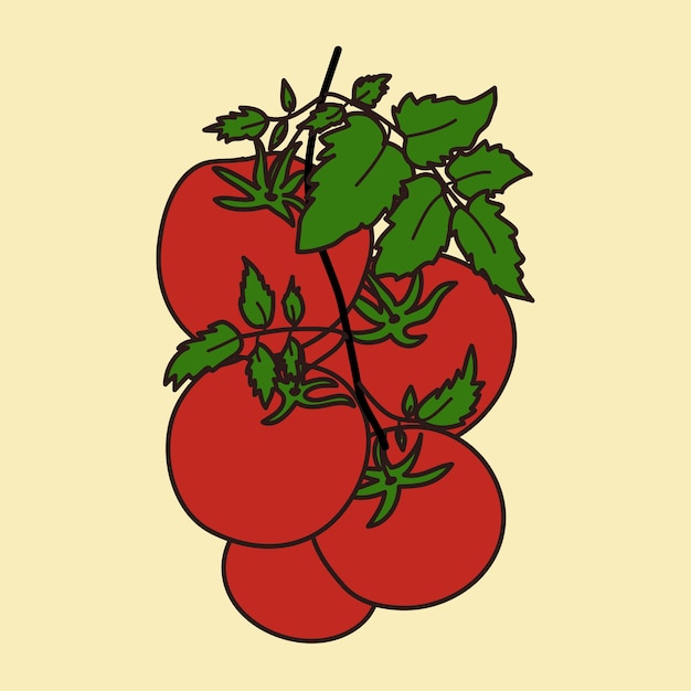 Tomate rojo.