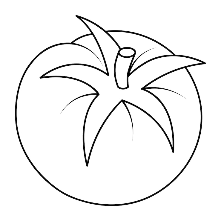 Vector tomate sketch vector ilustración libro para colorear para niños doodle estilo esquema en un centrico aislado