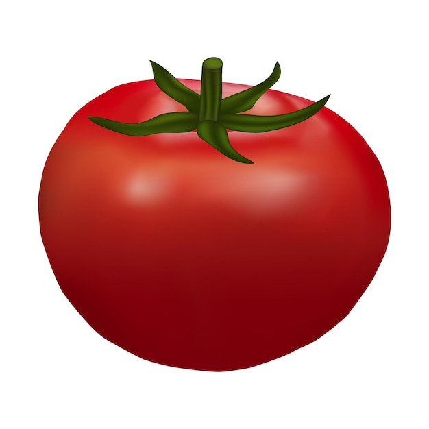 tomate sobre un fondo blanco