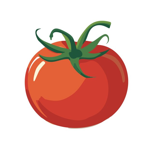 Vector tomate vectorial