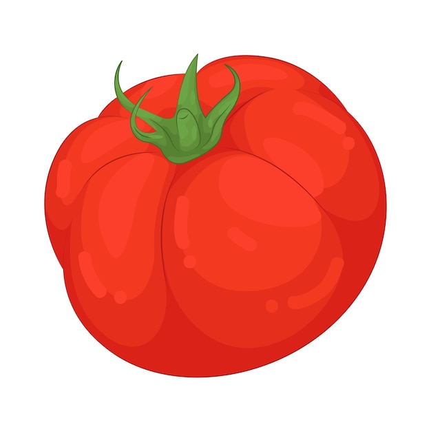 Tomate