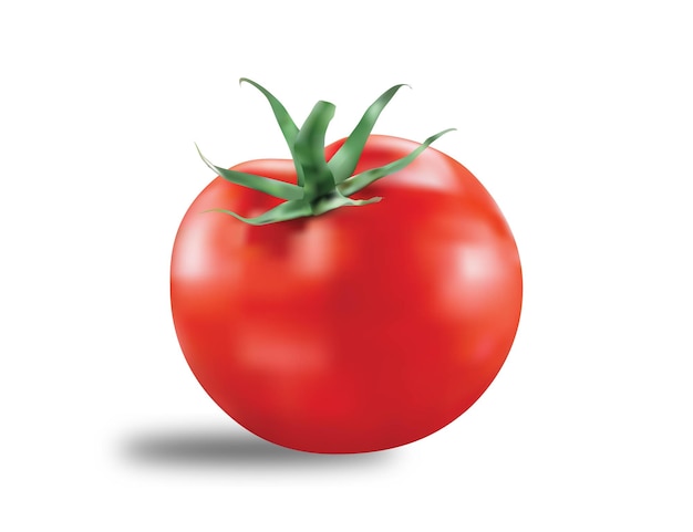 Tomate