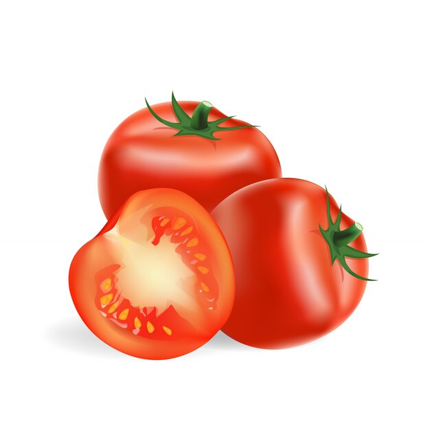 Vector tomate