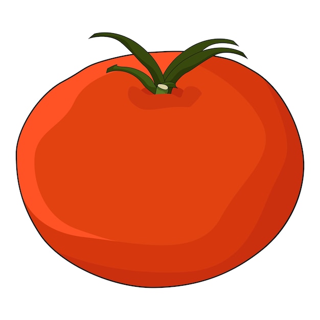 El tomate