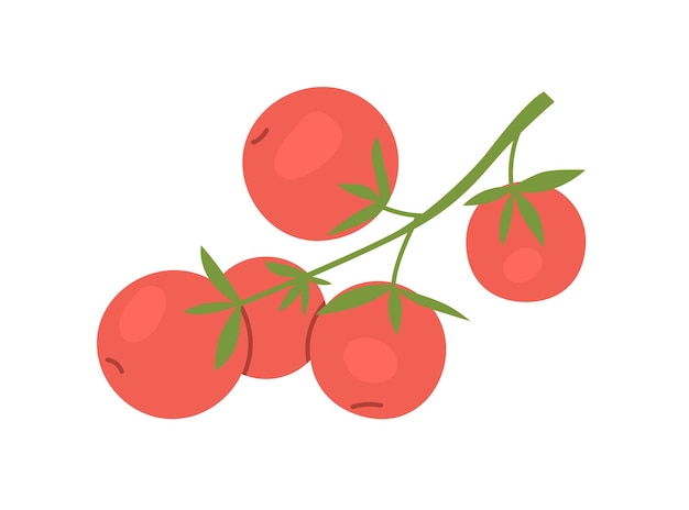 Tomates cherry creciendo en rama. verduras rojas maduras frescas en la planta de alimentos. pequeñas verduras saludables. cultivo agrícola orgánico natural. ilustración de vector plano aislado sobre fondo blanco