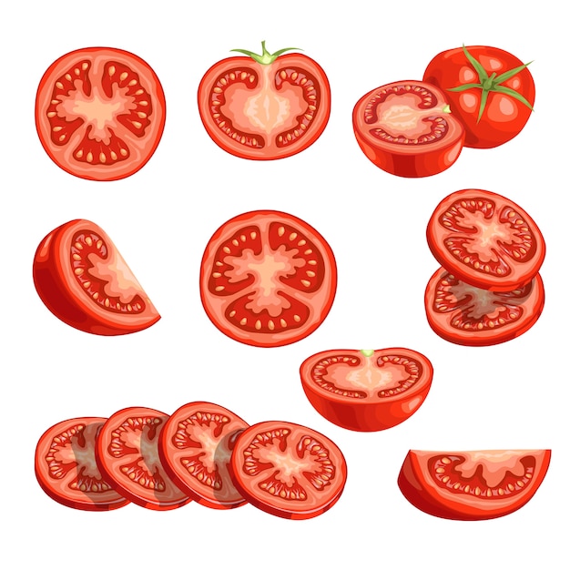 Tomates frescos de dibujos animados. Verduras rojas adentro. Corta tomates frescos de granja en rodajas, individuales y grupales. ilustraciones sobre fondo blanco.