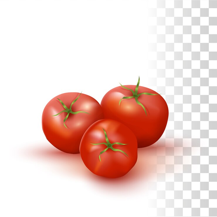 Vector tomates frescos rojos