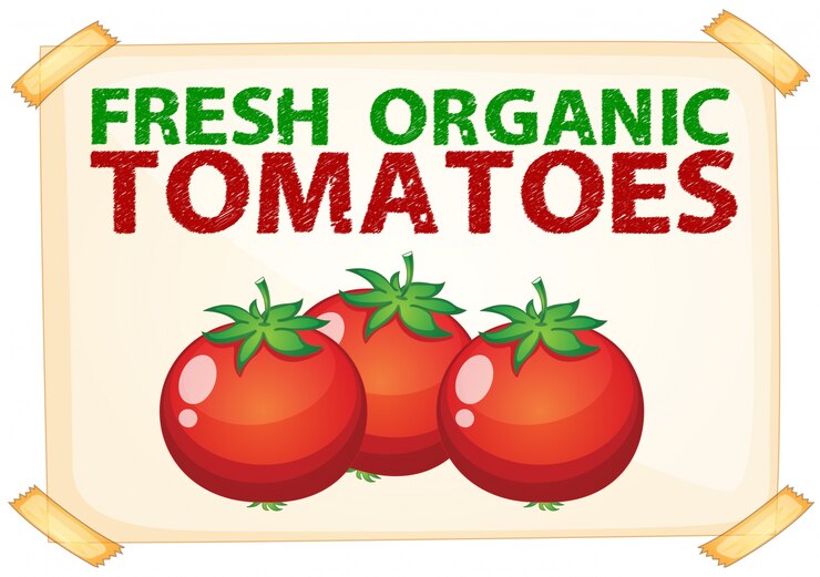 Vector tomates frescos