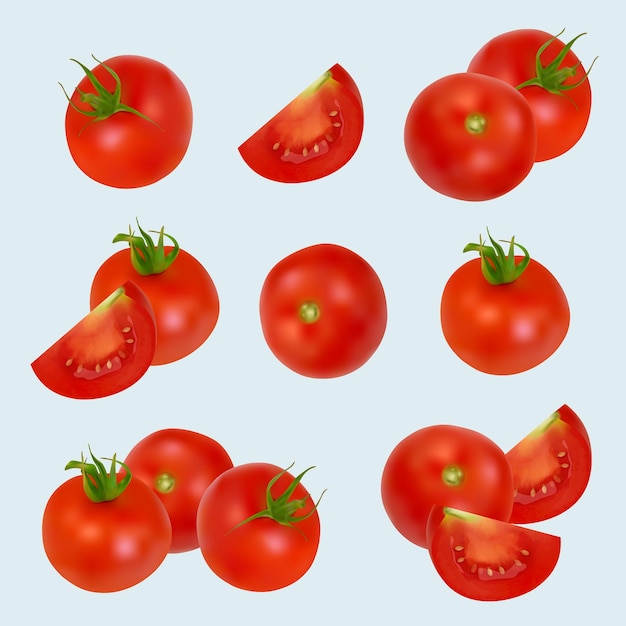 Tomates, productos vegetales orgánicos saludables realistas, tomates de primer plano, plantas rojas de pueblos, conjunto de ilustraciones vectoriales decentes.
