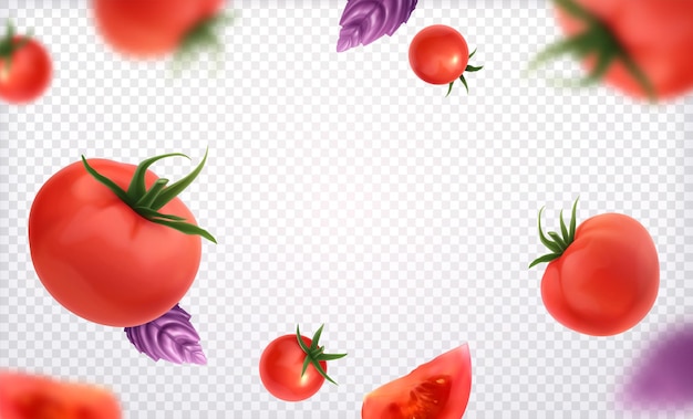 Vector tomates rojos frescos enteros y en rodajas con ramita verde y hojas de albahaca violeta en transparente