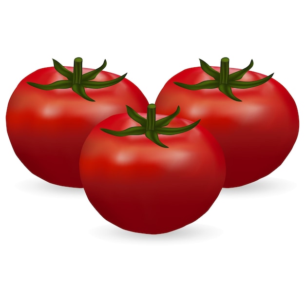 tomates sobre un fondo blanco